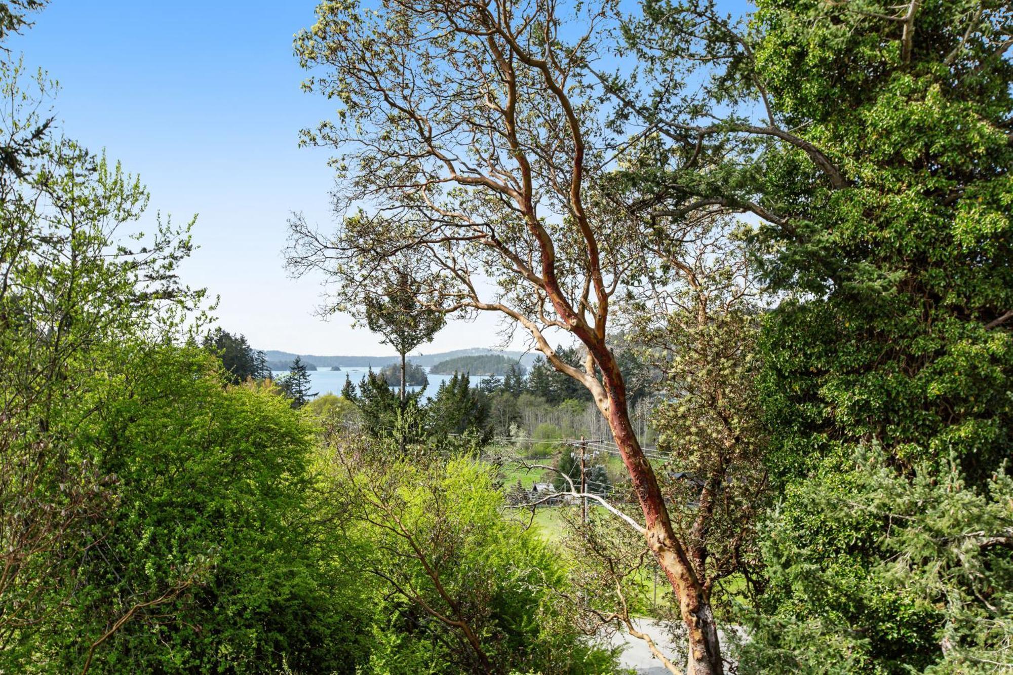 Deer Harbor Cottages Rom bilde